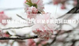 明星手机壳同款（明星手机壳同款推荐）