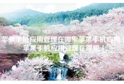 苹果手机应用管理在哪里苹果手机应用「苹果手机应用管理在哪里」
