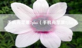 手机壳苹果7plus（手机壳苹果8plus）