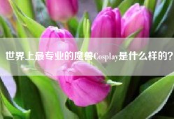 世界上最专业的魔兽Cosplay是什么样的？