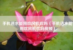 手机进水能用吹风机吹吗（手机进水能用吹风机吹吗视频）