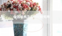 中国航天九院 771 研究所