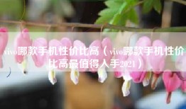 vivo哪款手机性价比高（vivo哪款手机性价比高最值得入手2021）