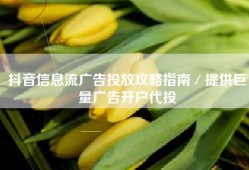 抖音信息流广告投放攻略指南／提供巨量广告开户代投