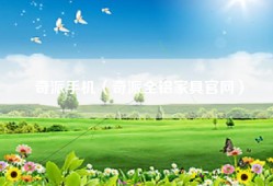 奇派手机（奇派全铝家具官网）