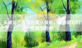 关键词广告排名算法规则，揭秘背后的机制与影响