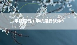 手机魔音（手机魔音软件）