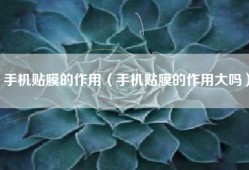 手机贴膜的作用（手机贴膜的作用大吗）