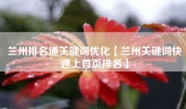 兰州排名通关键词优化【兰州关键词快速上首页排名】