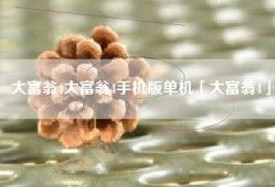 大富翁4大富翁4手机版单机「大富翁4」