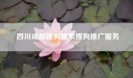 四川成都搜狗搜索搜狗推广服务