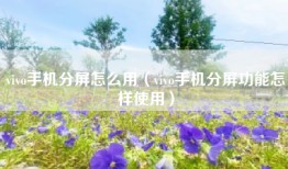vivo手机分屏怎么用（vivo手机分屏功能怎样使用）