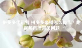 拼多多代运营 拼多多录播怎么操作？附视频直播常见问题