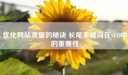 优化网站流量的秘诀 长尾关键词在SEO中的重要性