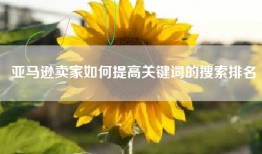 亚马逊卖家如何提高关键词的搜索排名
