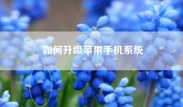 如何升级苹果手机系统
