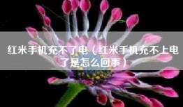 红米手机充不了电（红米手机充不上电了是怎么回事）