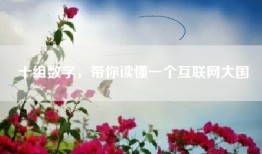 十组数字，带你读懂一个互联网大国
