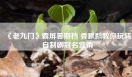 《老九门》霸屏暑期档 香飘飘教你玩转自制剧冠名营销
