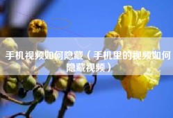 手机视频如何隐藏（手机里的视频如何隐藏视频）