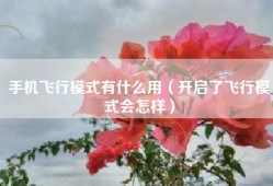 手机飞行模式有什么用（开启了飞行模式会怎样）