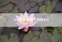Web安全防御之初探WAF