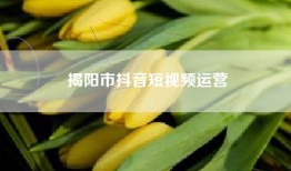 揭阳市抖音短视频运营