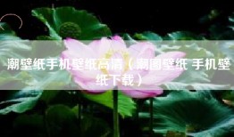 潮壁纸手机壁纸高清（潮图壁纸 手机壁纸下载）