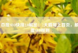 百度SEO快排2.0解密：7天霸屏上首页，颠覆SEO规则