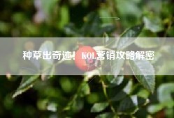种草出奇迹！KOL营销攻略解密