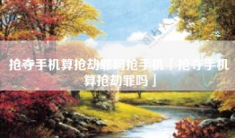 抢夺手机算抢劫罪吗抢手机「抢夺手机算抢劫罪吗」