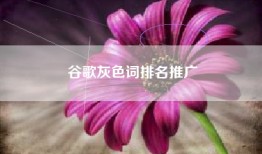 谷歌灰色词排名推广