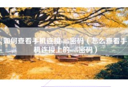 如何查看手机连接wifi密码（怎么查看手机连接上的wifi密码）