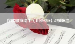 谷歌留痕助手（川圣SEO）#蜘蛛池