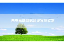 西安高端网站建设案例欣赏