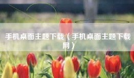 手机桌面主题下载（手机桌面主题下载网）