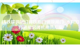 铸铁镶铜闸门铸铁拍门钢坝闸门_水利拍门涵闸启闭机闸门厂家