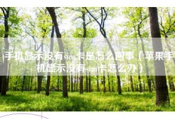 手机显示没有sim卡是怎么回事（苹果手机显示没有sim卡怎么办）