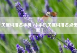 关键词排名手机 s【手机关键词排名点击率】