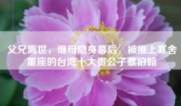 父兄离世，继母隐身幕后，被推上寒舍董座的台湾十大贵公子蔡伯翰