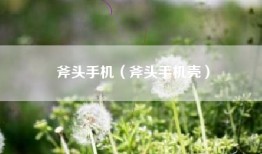 斧头手机（斧头手机壳）
