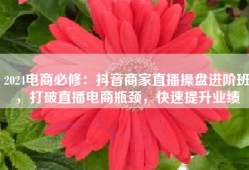 2024电商必修：抖音商家直播操盘进阶班，打破直播电商瓶颈，快速提升业绩