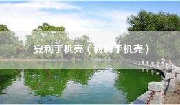 安利手机壳（莉莉手机壳）
