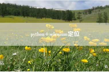 python+selenium定位