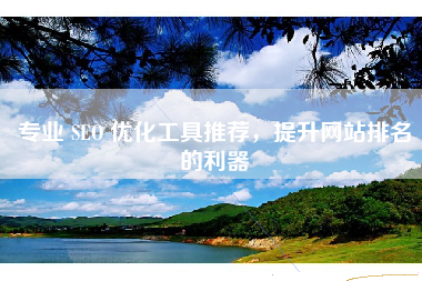 专业 SEO 优化工具推荐，提升网站排名的利器