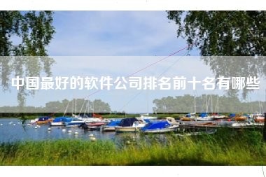 中国最好的软件公司排名前十名有哪些