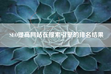 SEO提高网站在搜索引擎的排名结果