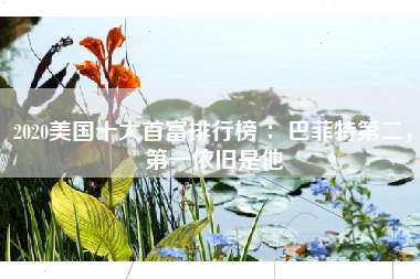 2020美国十大首富排行榜 ：巴菲特第二，第一依旧是他