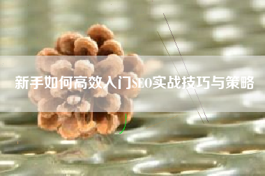 新手如何高效入门SEO实战技巧与策略