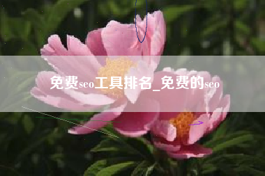 免费seo工具排名_免费的seo